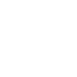 Email Logo